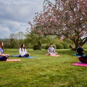 Students meditating outside