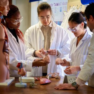 students holding body parts in science class