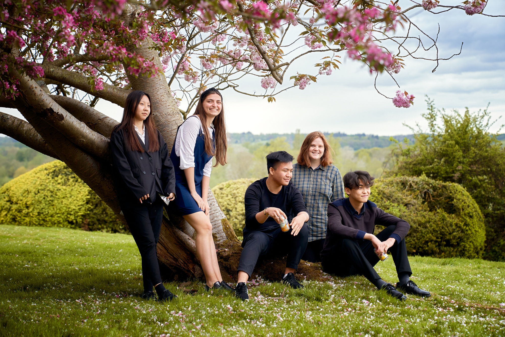 students sitting under a tree