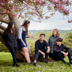 5 students sat at different angles around the tree