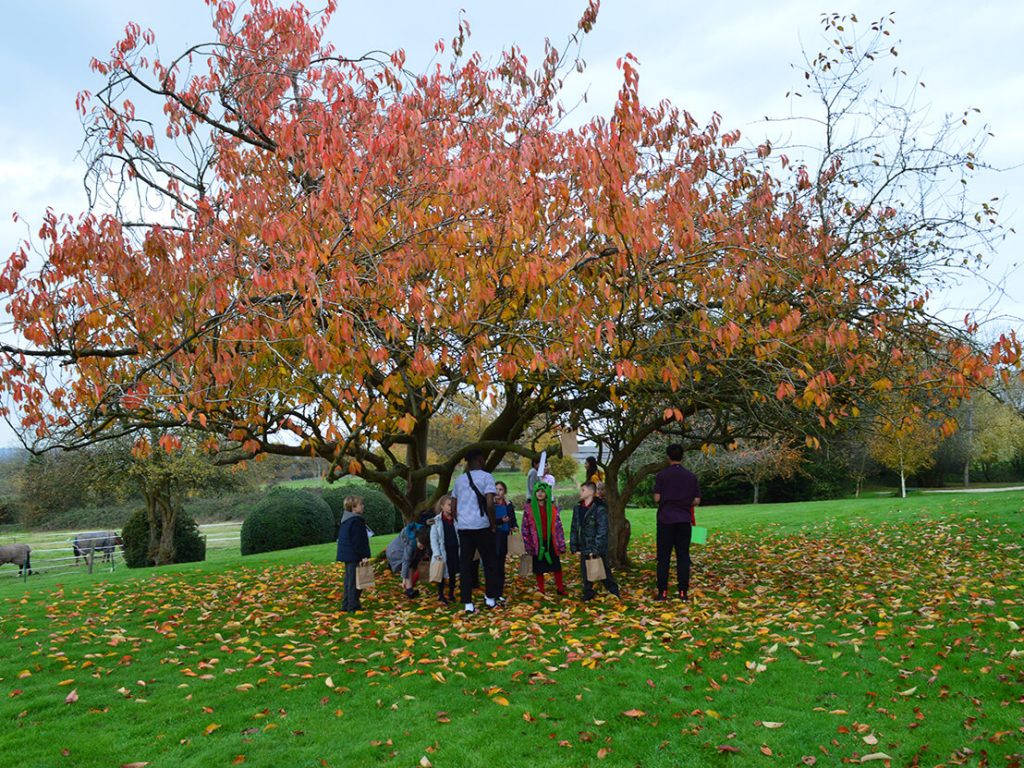 children stood under a tree