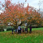 children stood under a tree