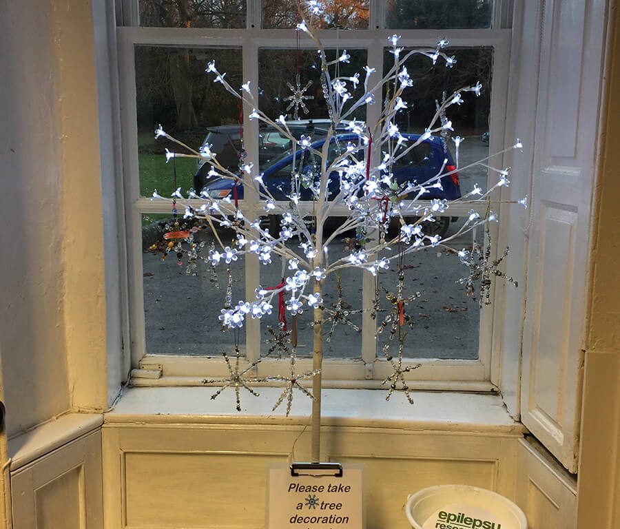 a tree set up with lights in front of a window